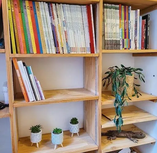 Le Cosy Sur Cour - T3 Hypercentre Apartament *