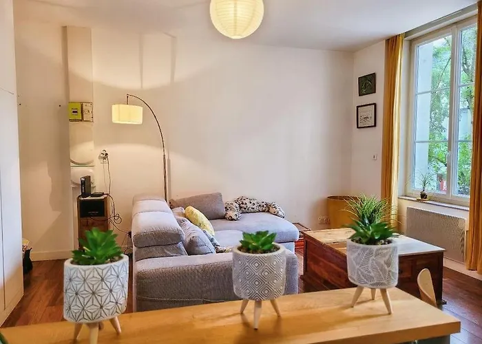 Le Cosy Sur Cour - T3 Hypercentre Angers