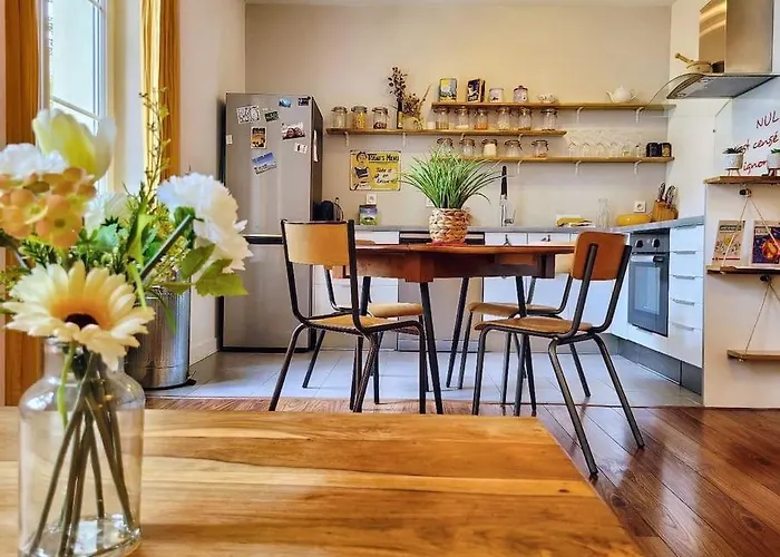 Le Cosy Sur Cour - T3 Hypercentre Angers