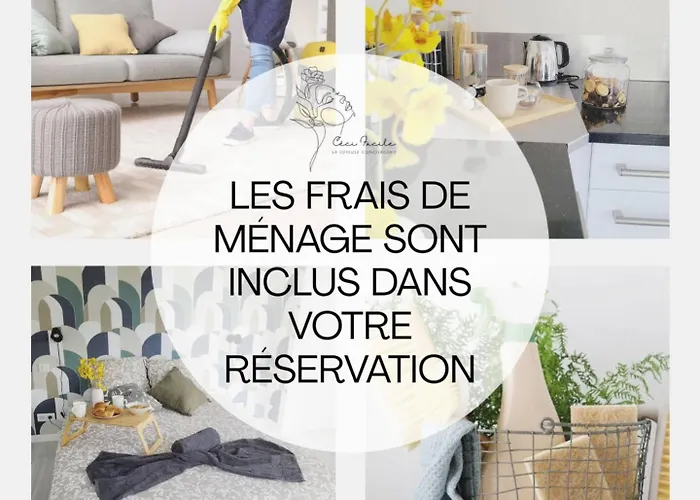 Le Cosy Sur Cour - T3 Hypercentre * Angers